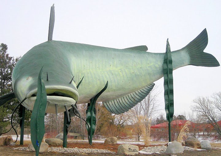 Best Time to Fish Near Dunnville & Port Maitland dunnville fishing lake Erie