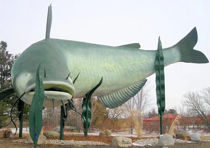Best Time to Fish Near Dunnville & Port Maitland dunnville fishing lake Erie
