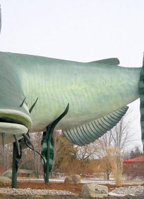 Best Time to Fish Near Dunnville & Port Maitland dunnville fishing lake Erie